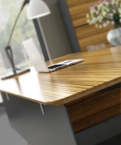 ARES-Office Desk 12